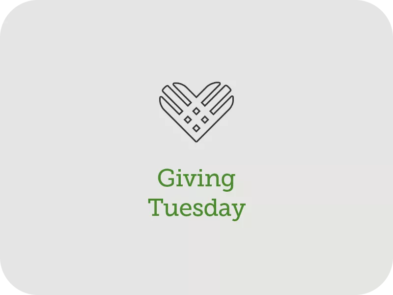 Foundation Giving Tuesday